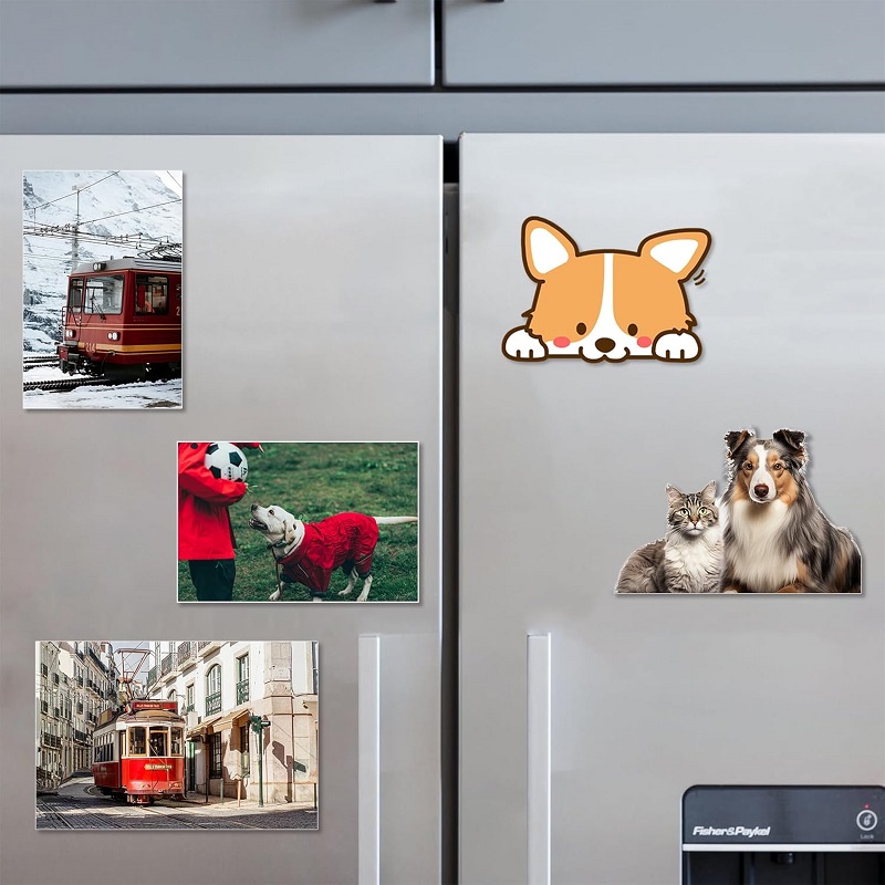 flexible magnetic rubber sheet